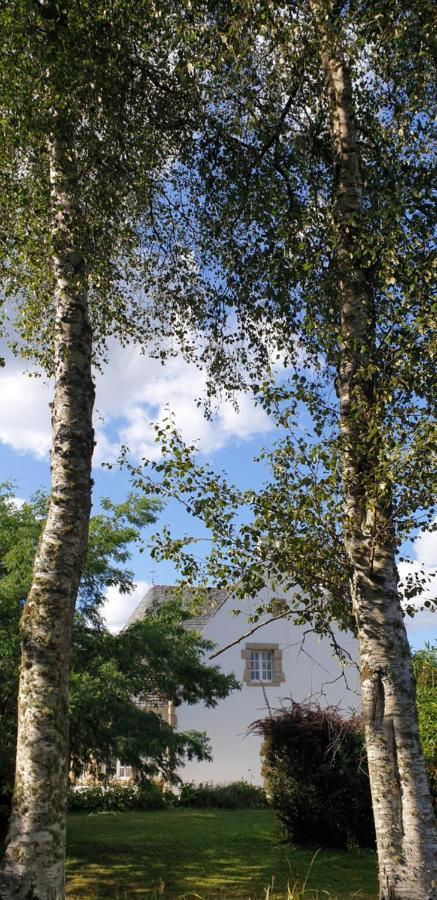 Crown Roads Bed & Breakfast Le Faouët Eksteriør bilde