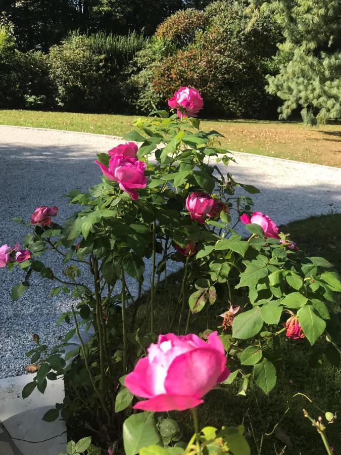 Crown Roads Bed & Breakfast Le Faouët Eksteriør bilde