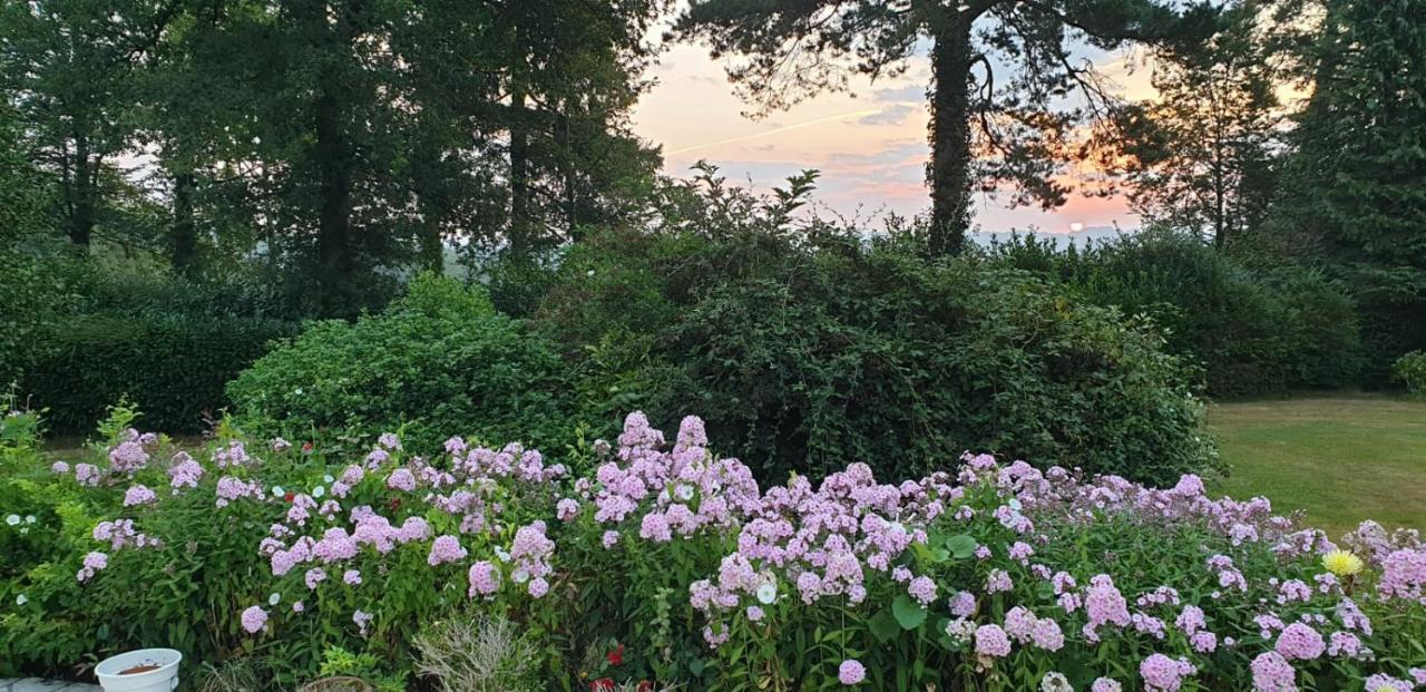 Crown Roads Bed & Breakfast Le Faouët Eksteriør bilde