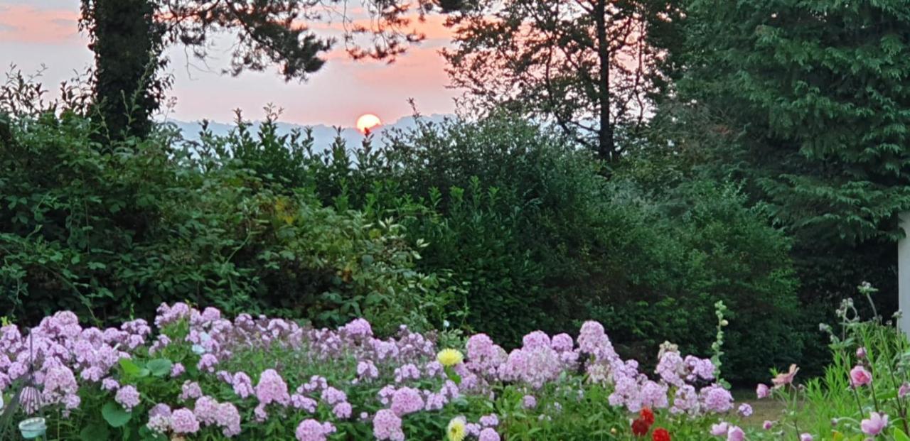 Crown Roads Bed & Breakfast Le Faouët Eksteriør bilde