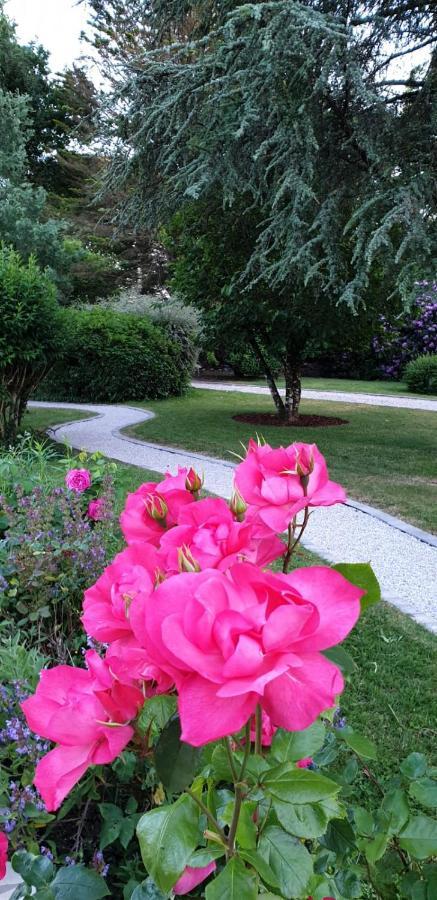 Crown Roads Bed & Breakfast Le Faouët Eksteriør bilde